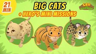 Big Cats - Junior Rangers and Hero's Animals Adventure | Leo the Wildlife Ranger | Kids Cartoons