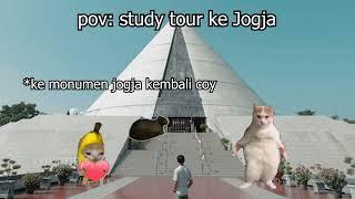 Pov : study tour ke jogja | meme kucing  5