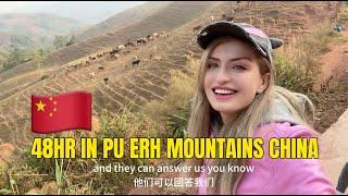 My trip to Pu Erh China to see how is organic ancient Tea growing PART 3