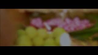 Guruvayur Wedding highlights video