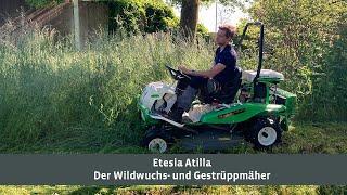 Profimäher: Der Wildwuchs- und Gestrüppmäher Etesia Attila