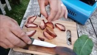 BEEFSTEAK MUSHROOM SUPPER