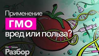 Все о ГМО. Опасны ли ГМО продукты? Несет ли вред модификация генов?