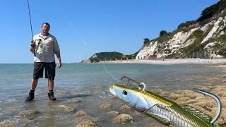 Lure fishing into a SHOAL ! of BASS