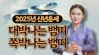 2025년 뱀띠신년운세 "대박이 기다리는 뱀띠는 몇년생!?"/대구용한점집 [더샤머니즘]