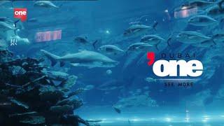 Dubai One // Aquarium ID (old) (2021)