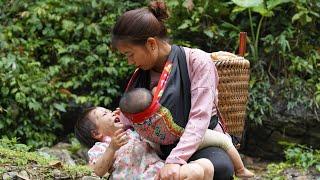 Rescuing a little girl lost in the forest - Harvesting and processing bamboo shoots Triệu Thị Hiền