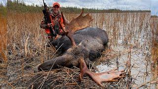 Great Grouse and BIG Moose in Northern Ontario | Canada in the Rough