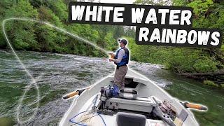 GNARLY white water drift trip while DRY FLY FISHING for rainbow trout!  How to fish in heavy water.