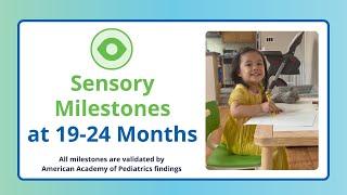 Baby’s Exploratory Skills | 19-24 Month Baby Sensory Milestones