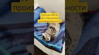 Принцип 80/20Для повышения производительности