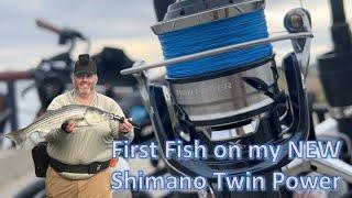 Cape Cod Canal Striper Fishing: First Fish on my NEW Shimano Twin Power Reel