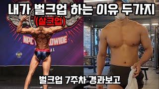 내가 벌크업하는 이유 벌크업 7주차 경과보고