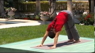 Hatha & Flow Yoga for Beginners