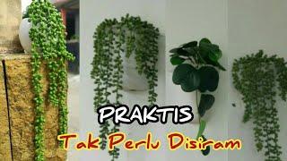 MEMBUAT SIMPLE VERTICAL GARDEN  || Tanaman Hias Teras Mudah Dirawat