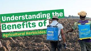 BOOSTING CROP YIELDS WITH HERBICIDES: Understanding Herbicides And The Impact On Food Security