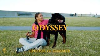 Odyssey - Season 3: Episode 12 - Hammer