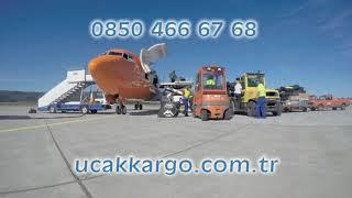 Acil Uçak Kargo - 0850 466 67 68