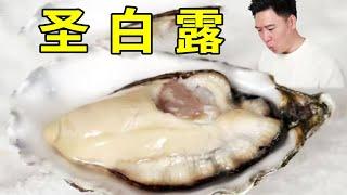 顶级生蚝圣白露，刺身一口25元，差点吃破产【小文哥吃吃吃】