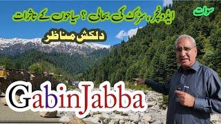 Journey to Gabin Jabba: Road Trip Adventure & Nature's Beauty Hub #gabinjabba #swattour