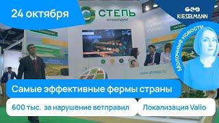 Новости за 5 минут: самые эффективные фермы, полмиллиона за нарушение ветправил и локализация Valio