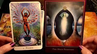 Unfair Comparisons Tarot: Cosmic Tribe vs Margarete Petersen