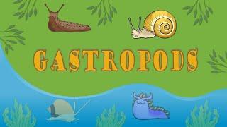 Gastropods: Evolution and Diversity | Snails, Slugs, Semi-slugs and Sea Slugs