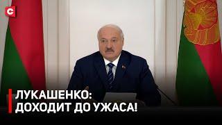 Лукашенко: До глубины души возмущает! | Президент высказался об игроманах и падеже скота
