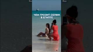 Чем грозит селфи в Египте? Подробнее под видео. #библиоглобус #библиоглобусегипет #travel #египет