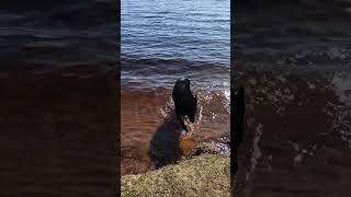 открыл купальны сезон.