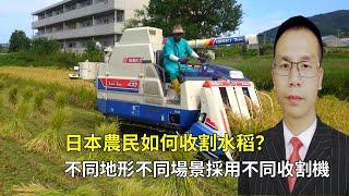 日本農民如何收割水稻？不同地形和場景採用不同收割機，真先進！