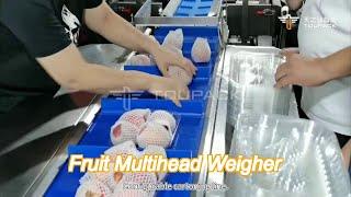 pear apple weighing fruit combination scale 12 head hand loading weighing machine