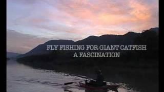 Fly Fishing for Giant Catfish