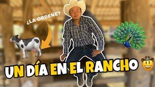 VIVI TODO UN DIA EN EL RANCHO || CHINOFENG CULICHI