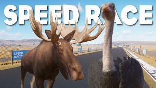 A new Champion?? Moose Vs Ostrich Planet Zoo Speed Race