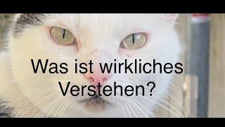 WAS IST WIRKLICHES VERSTEHEN? Understanding without understanding