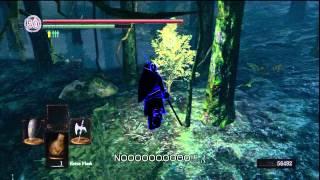 Dark Souls PvP: Avenging an Ally