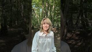 Как освободиться и пустить в жизнь что-то новое #зож #психология #здоровье