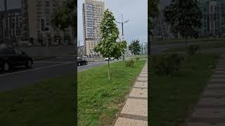 Указатели #андрейартемов #Беларусь #новая боровая #новостройкиминск #квартираминск #указатели