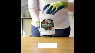 Houseplant Tips: Feeding & Fertilising