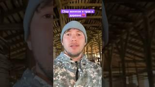 Деревенское хобби, оказалось, приносит миллионные доходы  собирательство в деревне