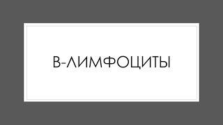 Иммунная система 4. В-лимфоциты, антигенпрезентирующие клетки, NK-клетки.