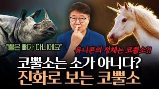 코뿔소는 소가 아니다?! 살아있는 유니콘, 코뿔소의 과학