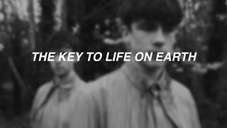 THE KEY TO LIFE ON EARTH BY DECLAN MCKENNA (LYRICS)