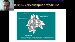 КТ в диагностике заболеваний органов брюшной полости. Лектор Зельтер П.М.