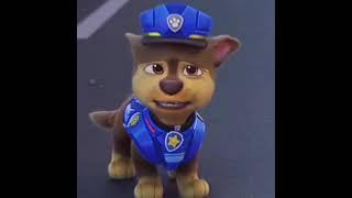 paw patrol the movie chase sad edit