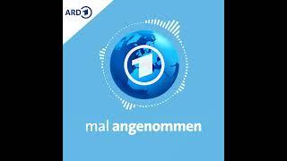 Die AfD verbieten? Was dann? | mal angenommen - tagesschau-Podcast