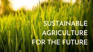 Sustainable Agriculture - Exploring Eco Friendly Farming Practices (20 Minutes)