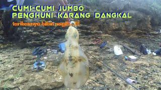 Spot ini Cocok Untuk Mancing Cumi-Cumi Jumbo - Rockfishing Karang Dangkal