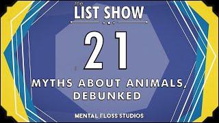 Dogs Don’t See in Black and White and Other Animal Myths, Debunked | Mental Floss List Show | 528